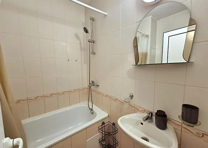 Complex Rose Słoneczny Brzeg